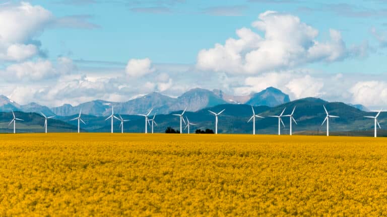 Wind turbine renewable energy