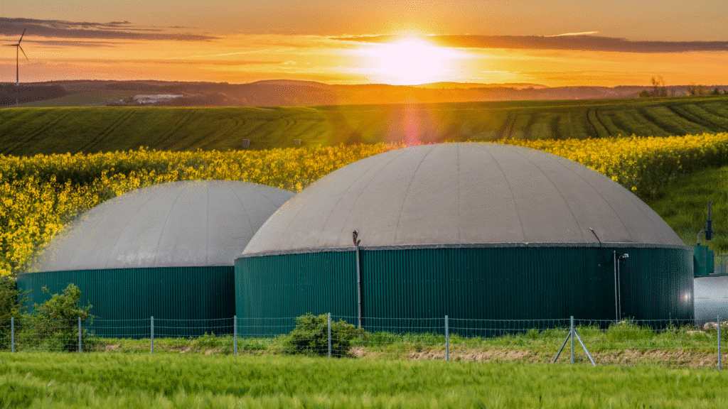 Biogas facility 2