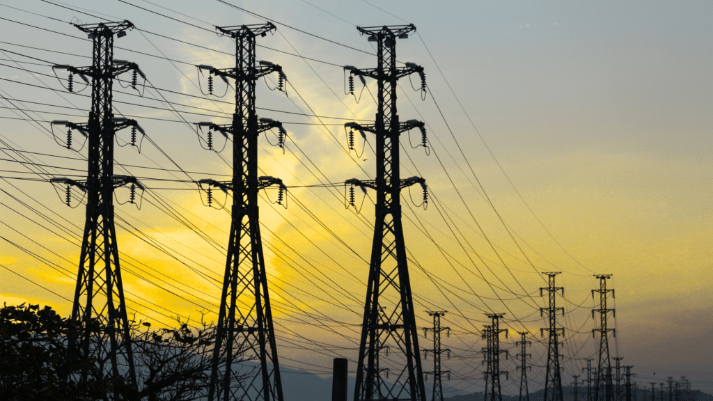 Electricity network